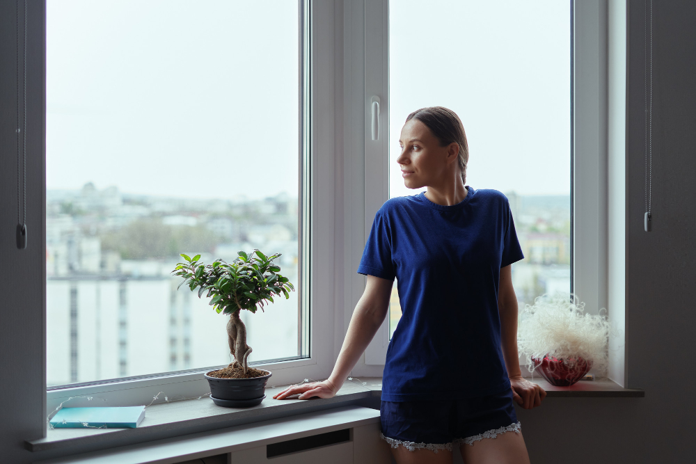 Boise Window Styles